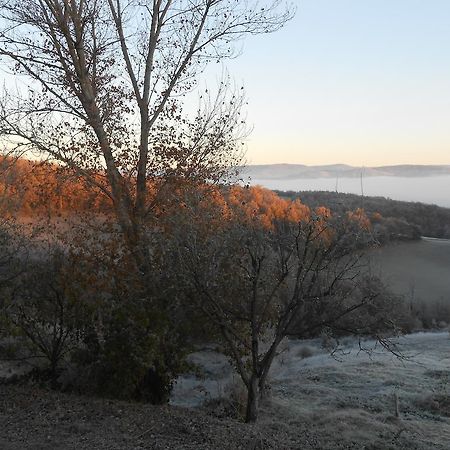 Gite Des Monts Saint-Izaire Eksteriør billede