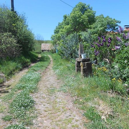 Gite Des Monts Saint-Izaire Eksteriør billede