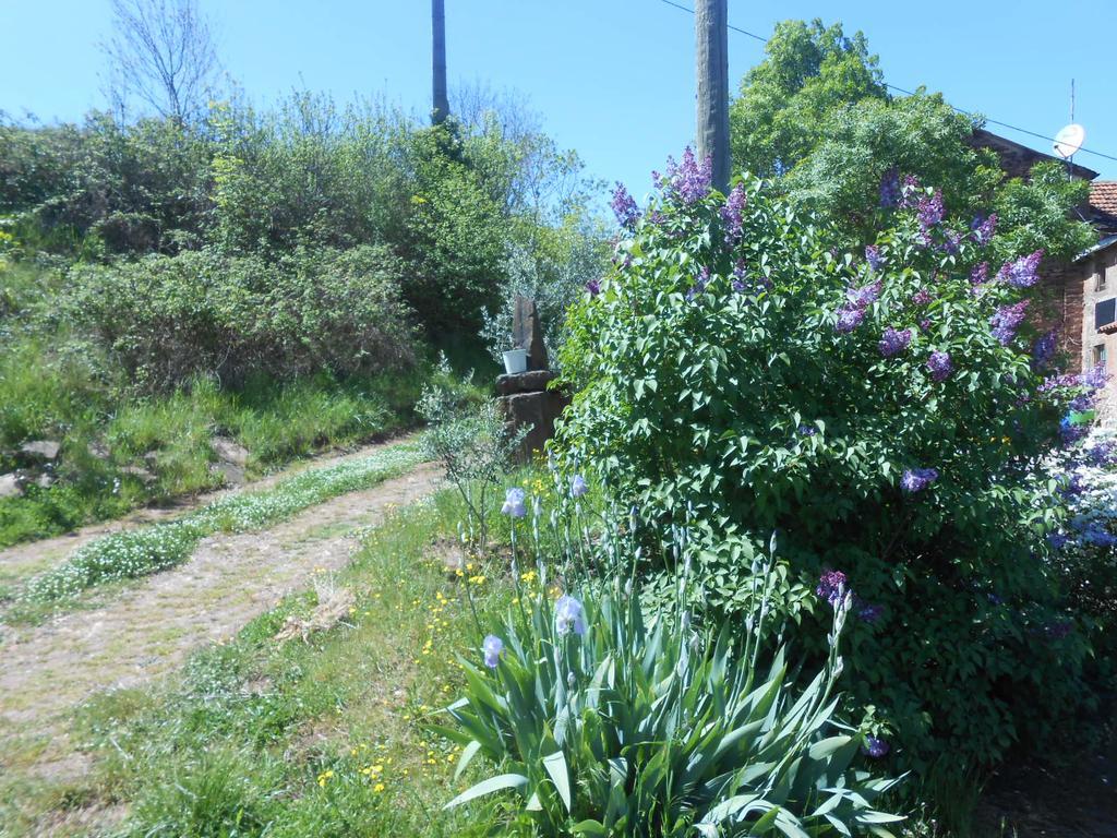 Gite Des Monts Saint-Izaire Eksteriør billede