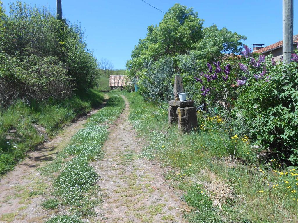 Gite Des Monts Saint-Izaire Eksteriør billede