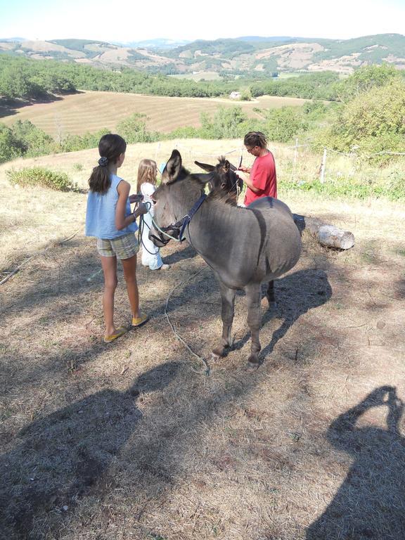 Gite Des Monts Saint-Izaire Eksteriør billede